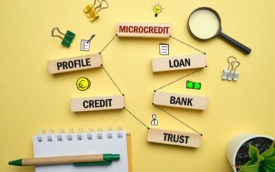 microcredit initiatives